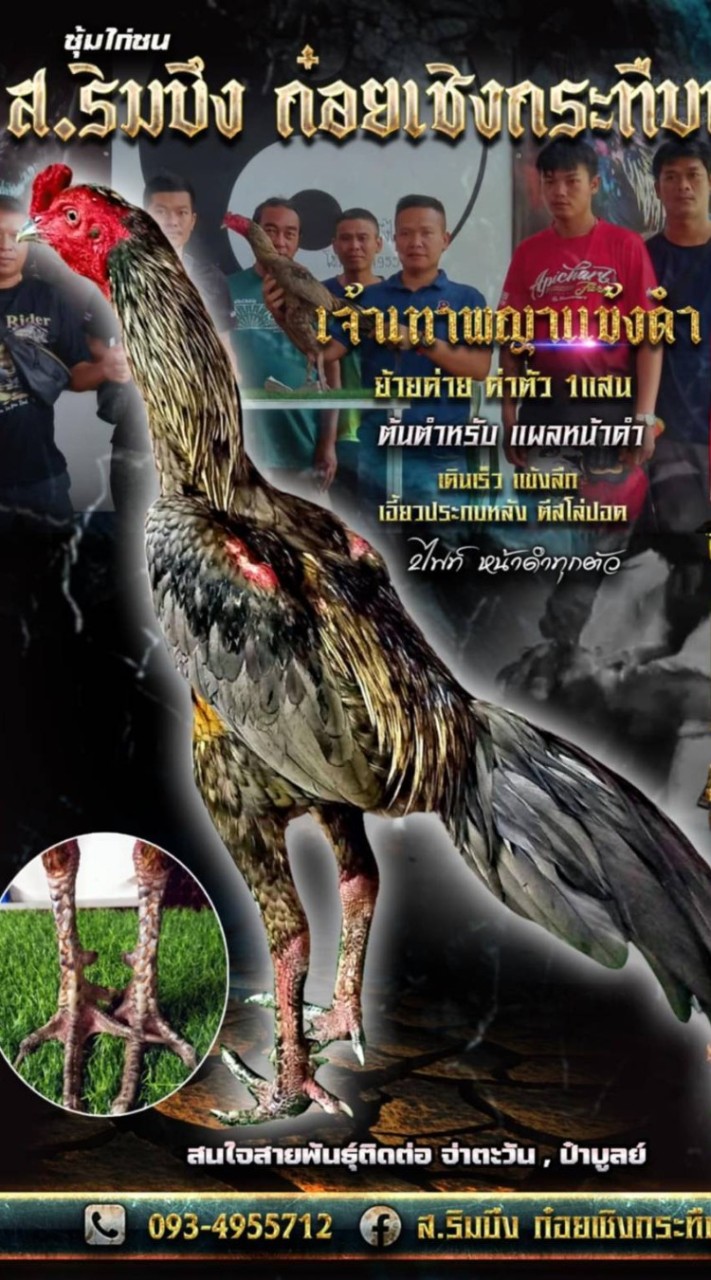 ซุ้มเพชรนาคาป่าก๋อยพัฒนาตีหลัง&ซุ้มส.ริมบึง
