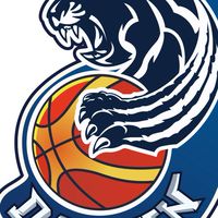 台中市大墩國中籃球隊家長群組