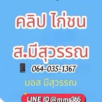🏆กลุ่ม 9 คลิปไก่ ส.มีสุวรรณ(VIPลูกแชมป์ตัวดัง)🏆