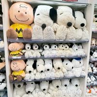 Snoopy史努比購物交流分享