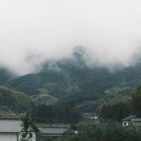 日股大家族
