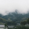 日股大家族
