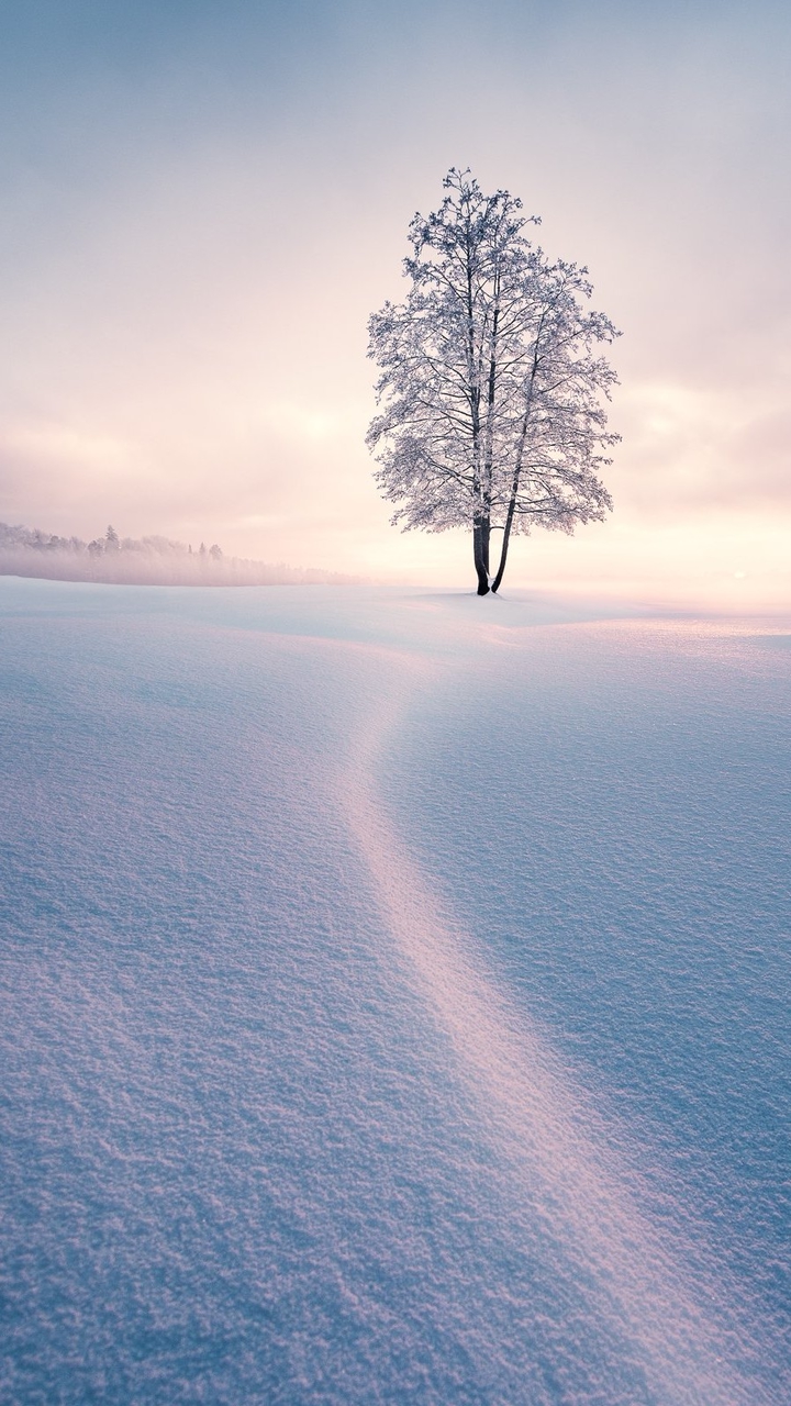 Englicious 英語愛開槓