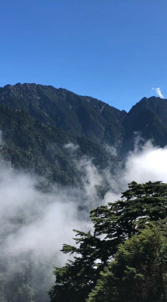 中部電信通訊交流平台