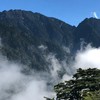 中部電信通訊交流平台