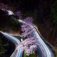 🎋憩いと心のケアCafé 🎋