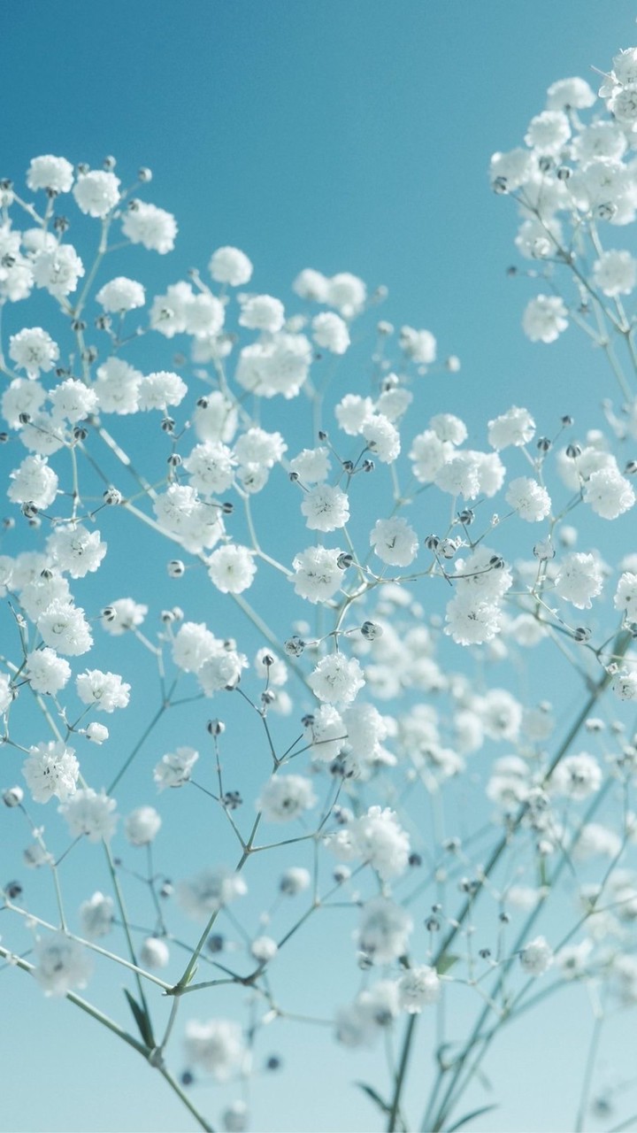 あなたのいばしょ