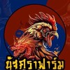 นัฐศราฟาร์ม บุรีรัมย์ เหล่าโกวเซ้มฟาร์ม🐲🐉💯