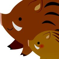 あかつきイノシシカード交換