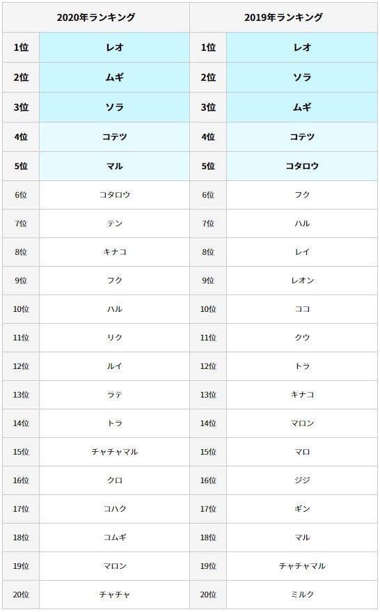 21年に流行りそうな猫の名前は 名前ランキングtop