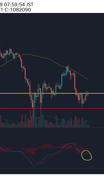 仮想通貨・バイナリー・FXなど投資で稼ぎましょう！シグナル配信！