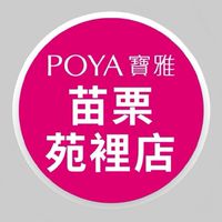 寶雅苗栗苑裡店好康報報
