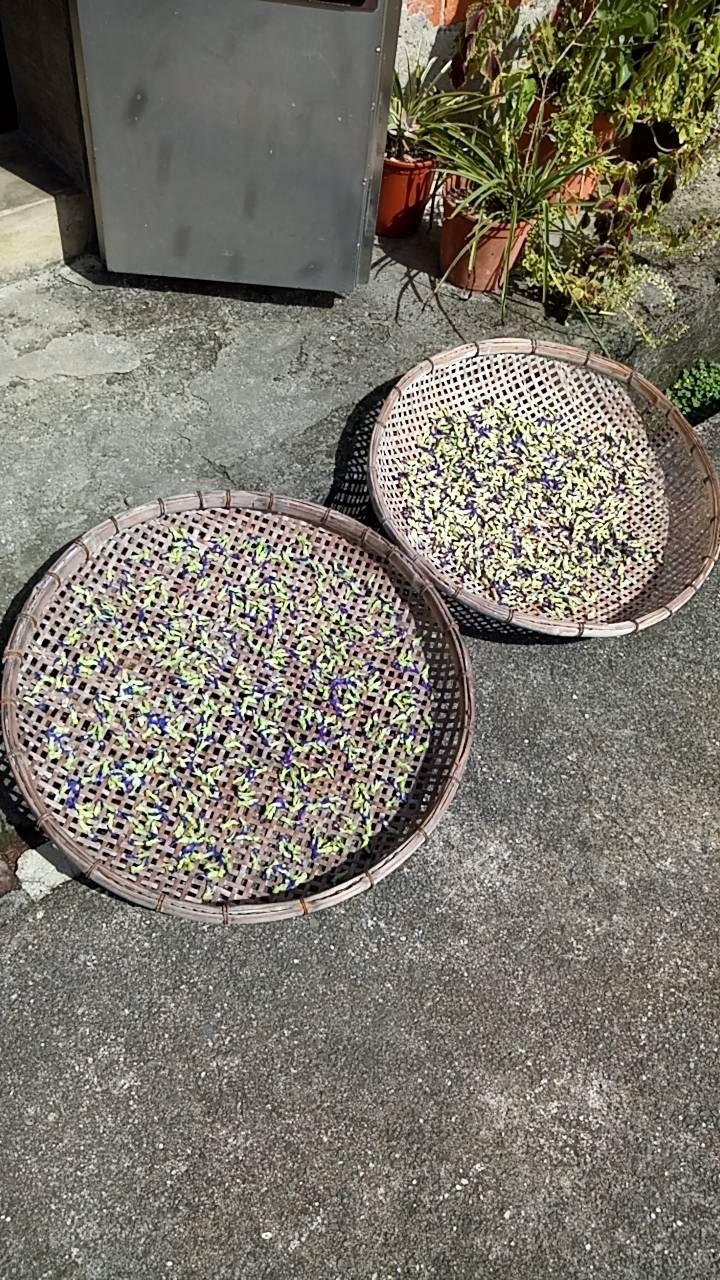 蝶豆花 宜蘭農地自種手摘日曬自然無用藥/可泡花草茶/可天然染色/含青花素(保護眼睛防血栓) 130元/50g