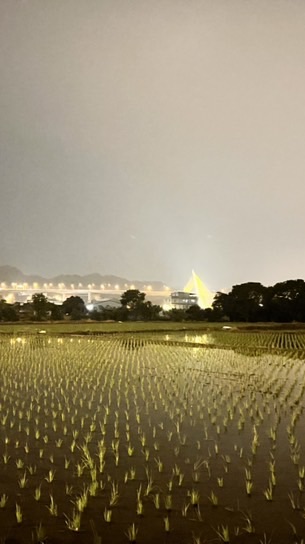 高二升學股長（學習歷程、成績資訊）