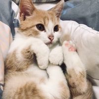 一個廢群👍