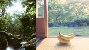 這個絕對超過 12 萬美元！日本網友興趣是「幫香蕉拍藝術照」，成品超有意境被推爆！