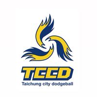 台中美式躲避球俱樂部 TCCDodgeball