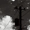 らぽね、Snowman、SixTONESマネージャー