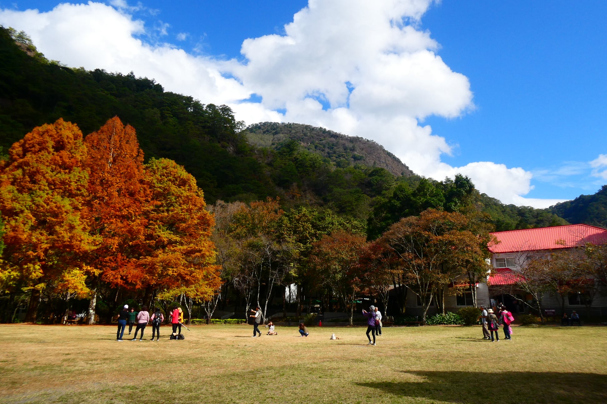 「奧萬大森林遊樂區」超完整賞楓攻略｜奧萬大賞楓景點整理
