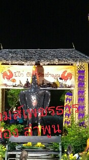 เจมส์เพชรธารทองลำพูน0895602540