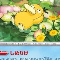 寶可夢同樂會