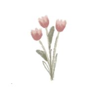 𝑝𝑖𝑐𝑡𝑢𝑟𝑒 𝑏𝑦 𝑦𝑢𝑠𝑜𝑏𝑎𝑚𝑖𝑒.💐