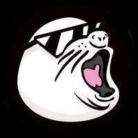 🌊SEA DOG海上霸主🌊區塊鏈/海狗幣/加密貨幣/比特幣/幣安/NFT