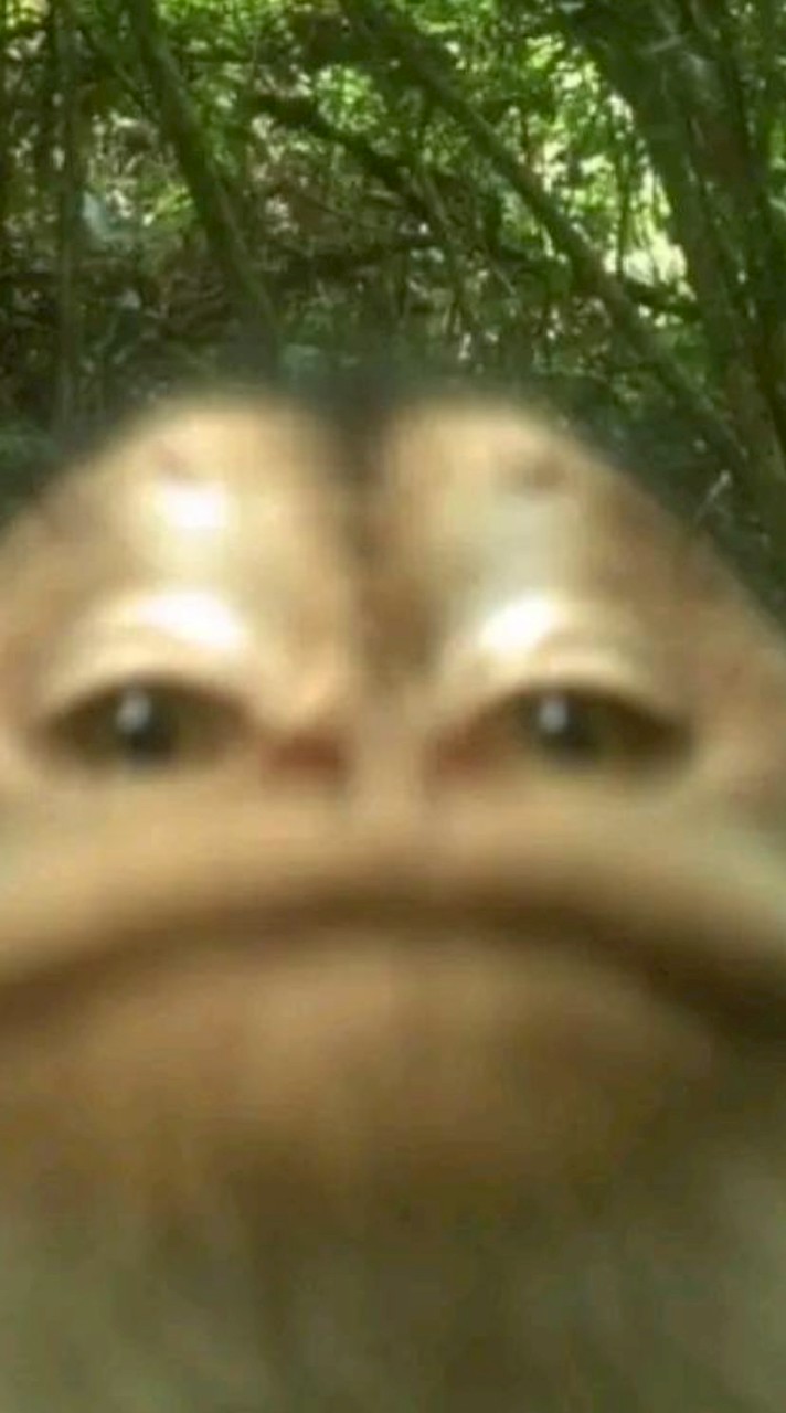 自由にしてけうっふん2👁️👄👁️