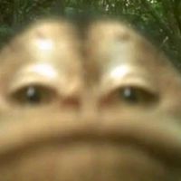自由にしてけうっふん2👁️👄👁️