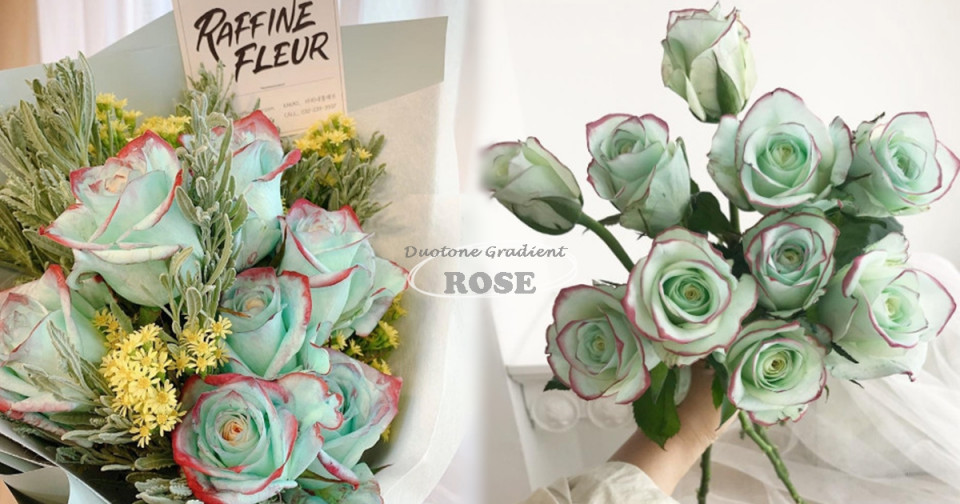 介紹過滿天星、兔尾草等夢幻花束，但經典玫瑰還是真理！