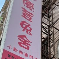 優荳兔兔天竺鼠-「週末聊天群」