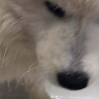 ⁎̩͙  ⁎̩͙  กลุ่มเก็บแต้ม lovely ꧂ 𐬹˳
