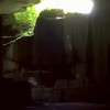 なんでも部屋🌟