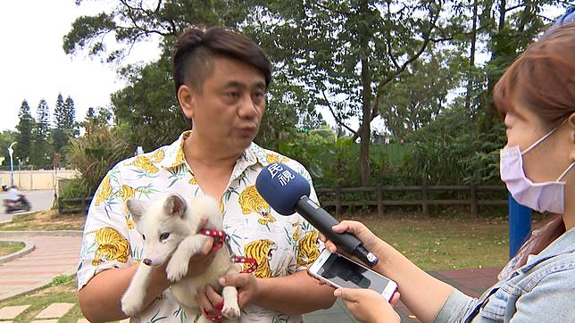 全台不到十隻 夢幻白狐狸當寵物超吸睛 民視新聞網 Line Today