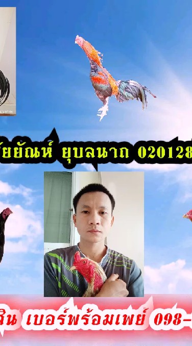 กลุ่มสำหรับ คนชอบไก่ใต้ร้อย ใต้พัฒนา สายเชิง พนัส-ก๋อย-ง่อน