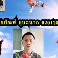 กลุ่มสำหรับ คนชอบไก่ใต้ร้อย ใต้พัฒนา สายเชิง พนัส-ก๋อย-ง่อน