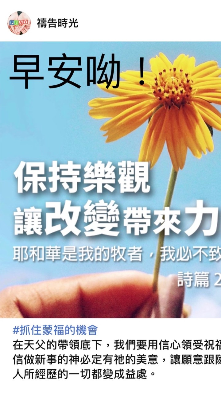 減脂一 身輕B