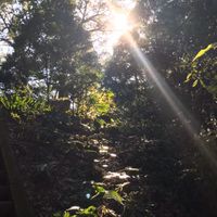🌲里山遊びがしてみたい🌲