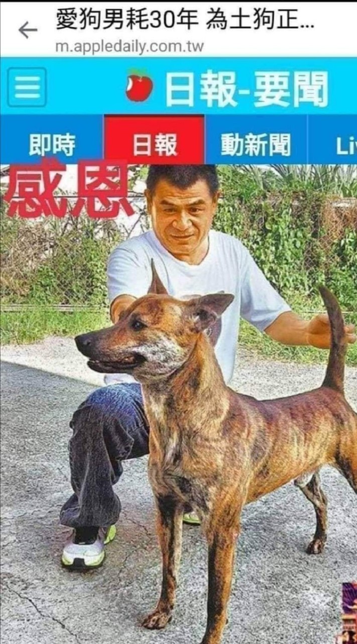 信伏哥訓犬教學