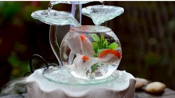 幫家裡增添活力生氣！用好看的魚缸佈置居家環境