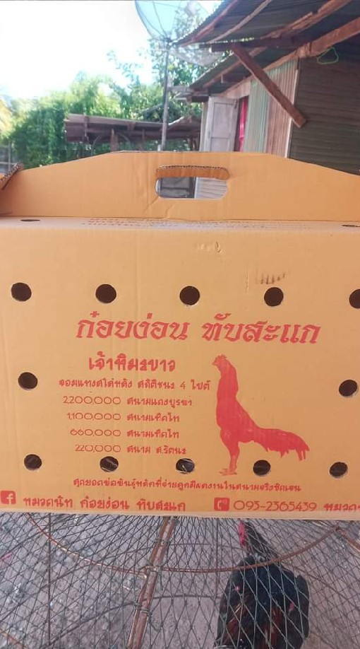 ซุ้ม ส.สมชายป่าก๋อยพัฒนา