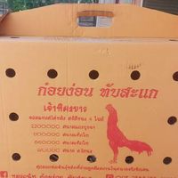 ซุ้ม ส.สมชายป่าก๋อยพัฒนา