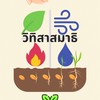 วิทิสาสมาธิ รุ่น 4 (ธาตุ 4 สามัคคี)