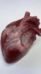 生肉を食べてまでサボり隊