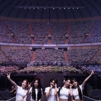 I-DLE 娃 韓國代購 Cadul 咔茤