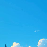 超絶激緩緩緩な特殊全緩ハント⁉️⁉️ ⌒ 需要はチョコミント🎶よりもあ・な・た❣️