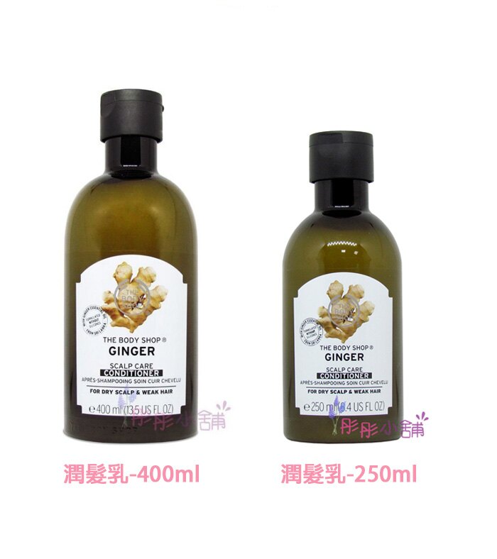 Ginger Scalp Care Shampoo / Ginger Scalp Care Shampoo 原廠真品輸入