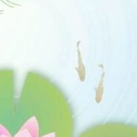 メダカって魅力的🌈✨