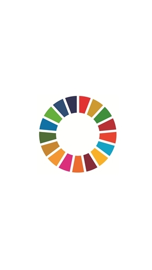 SDG Local Network