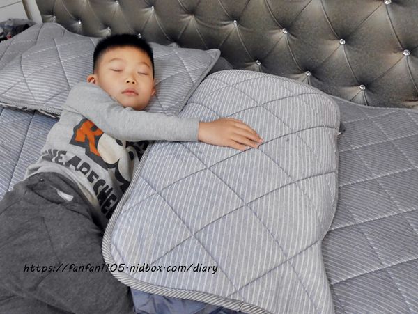 【舒福家居】3D透氣床墊枕墊 #隔離塵蟎 #可水洗涼感紗 讓孩子有舒適且安心的睡眠 (5).JPG